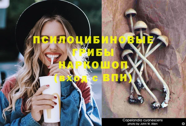 амф Баксан