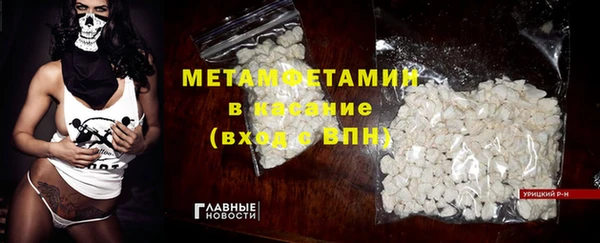 индика Пересвет